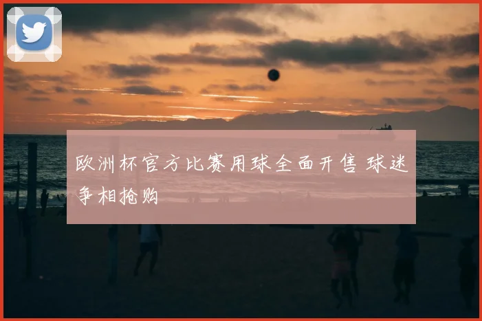 欧洲杯官方比赛用球全面开售 球迷争相抢购