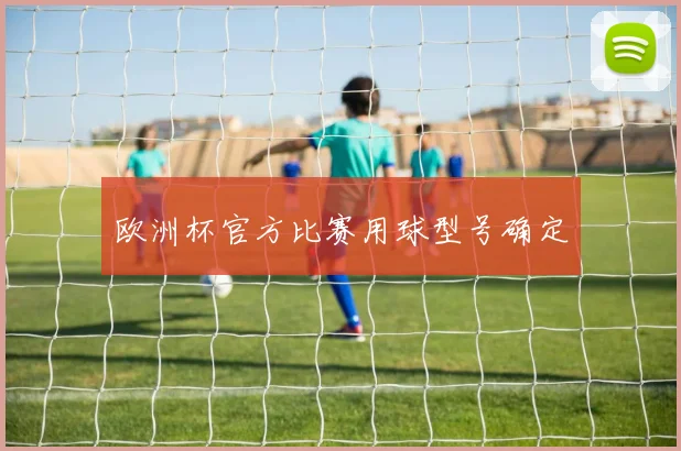 欧洲杯官方比赛用球型号确定