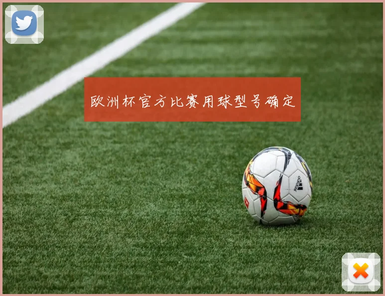 欧洲杯官方比赛用球型号确定