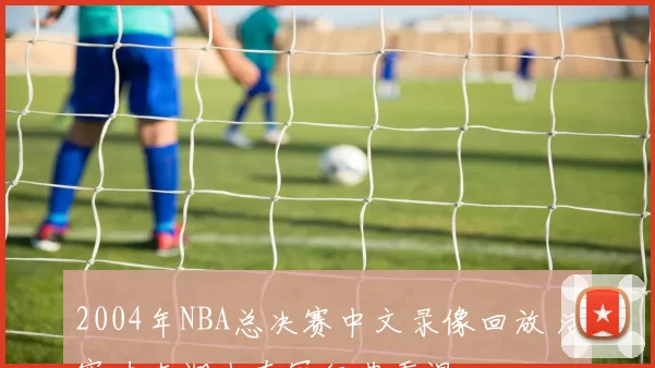 2004年NBA总决赛中文录像回放 活塞力克湖人夺冠经典重温