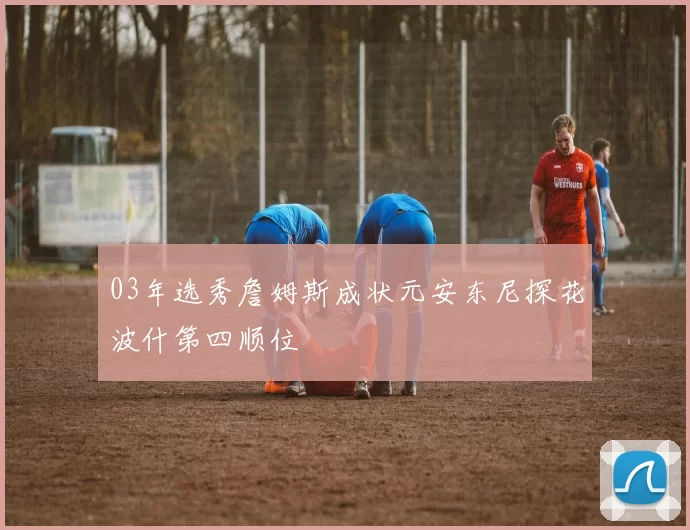 03年选秀詹姆斯成状元安东尼探花波什第四顺位